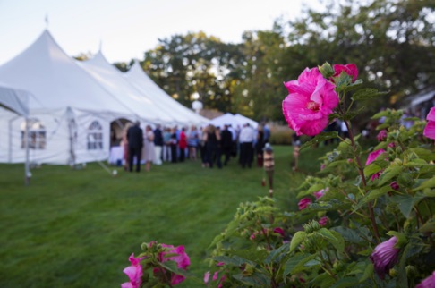 Tented Wedding